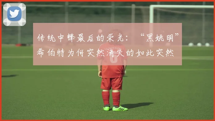 传统中锋最后的荣光：“黑姚明”希伯特为何突然消失的如此突然