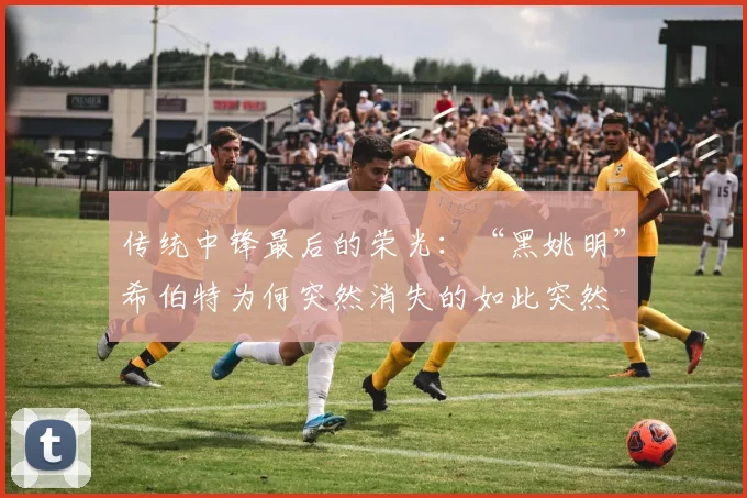 传统中锋最后的荣光：“黑姚明”希伯特为何突然消失的如此突然